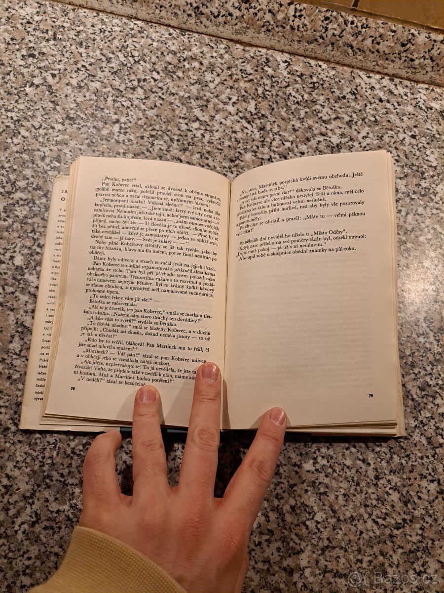 Jan Neruda - Obrázky - 3