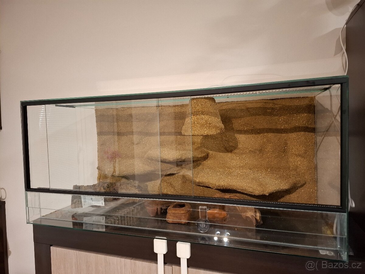 Terárium s 3D stěnou - 3
