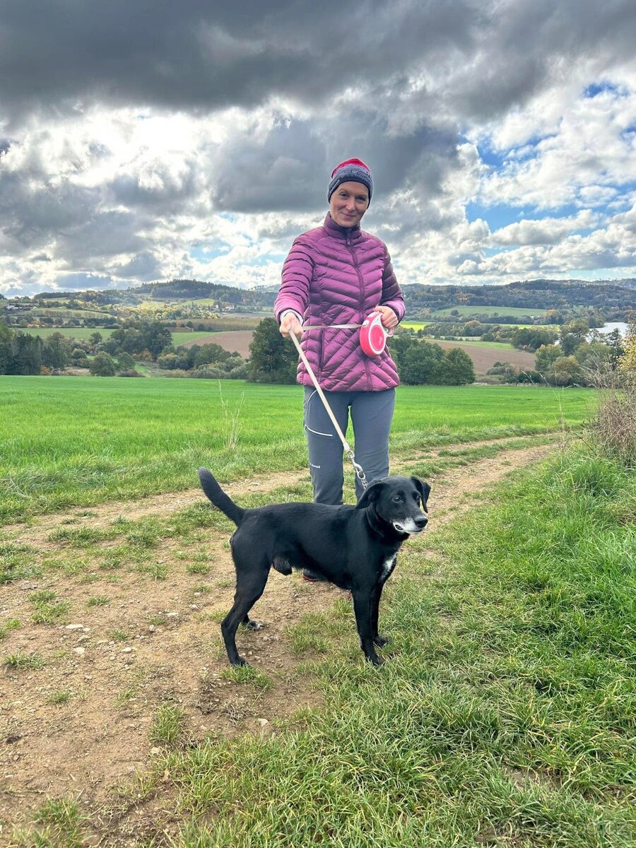 Bobík, kříženec hledá domov - 3