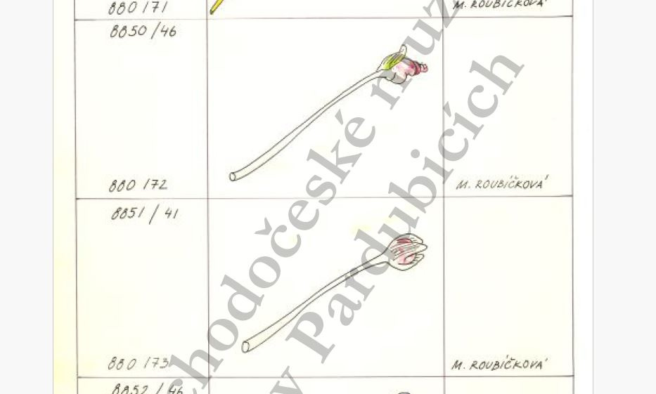 Miluše Roubíčková, Škrdlovice, 3x růže - 3