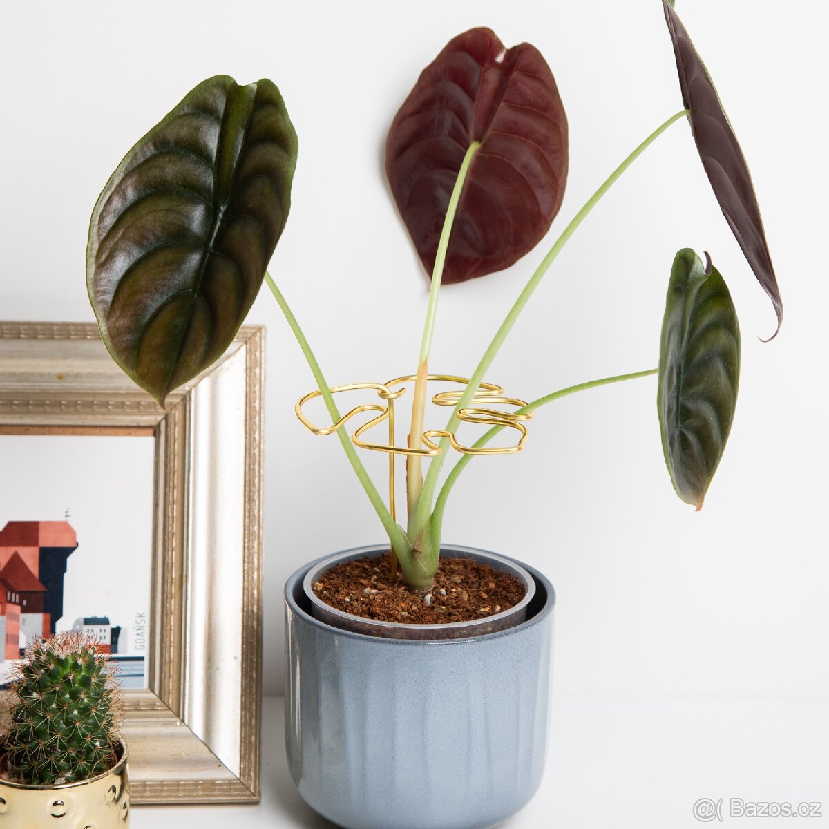 Opora pro rostliny, list monstery, zlatá - 3