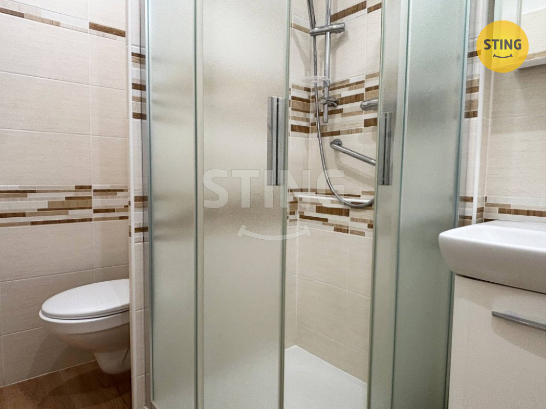 Byt 1+1 s balkonem, 133620 - 3