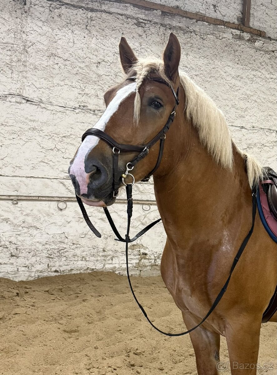 Uzdečka Rambo Micklem Competition 2, vel. Xfull - 3