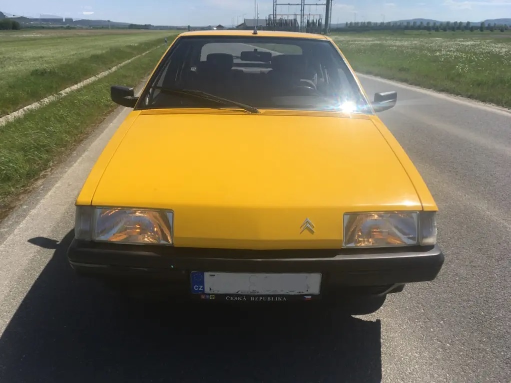 Citroen BX 1.9 D r.v.1994 - 3