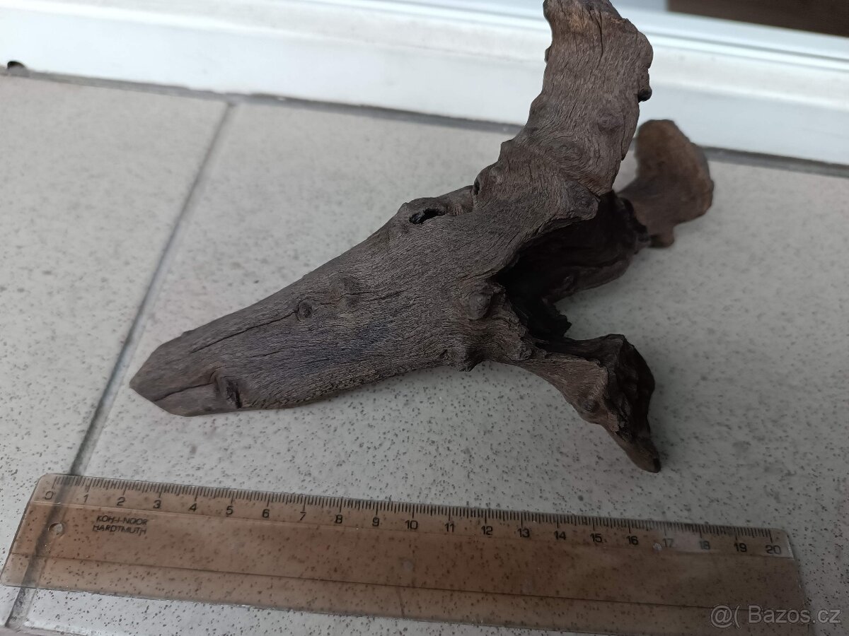 akvarijní kořen - 3