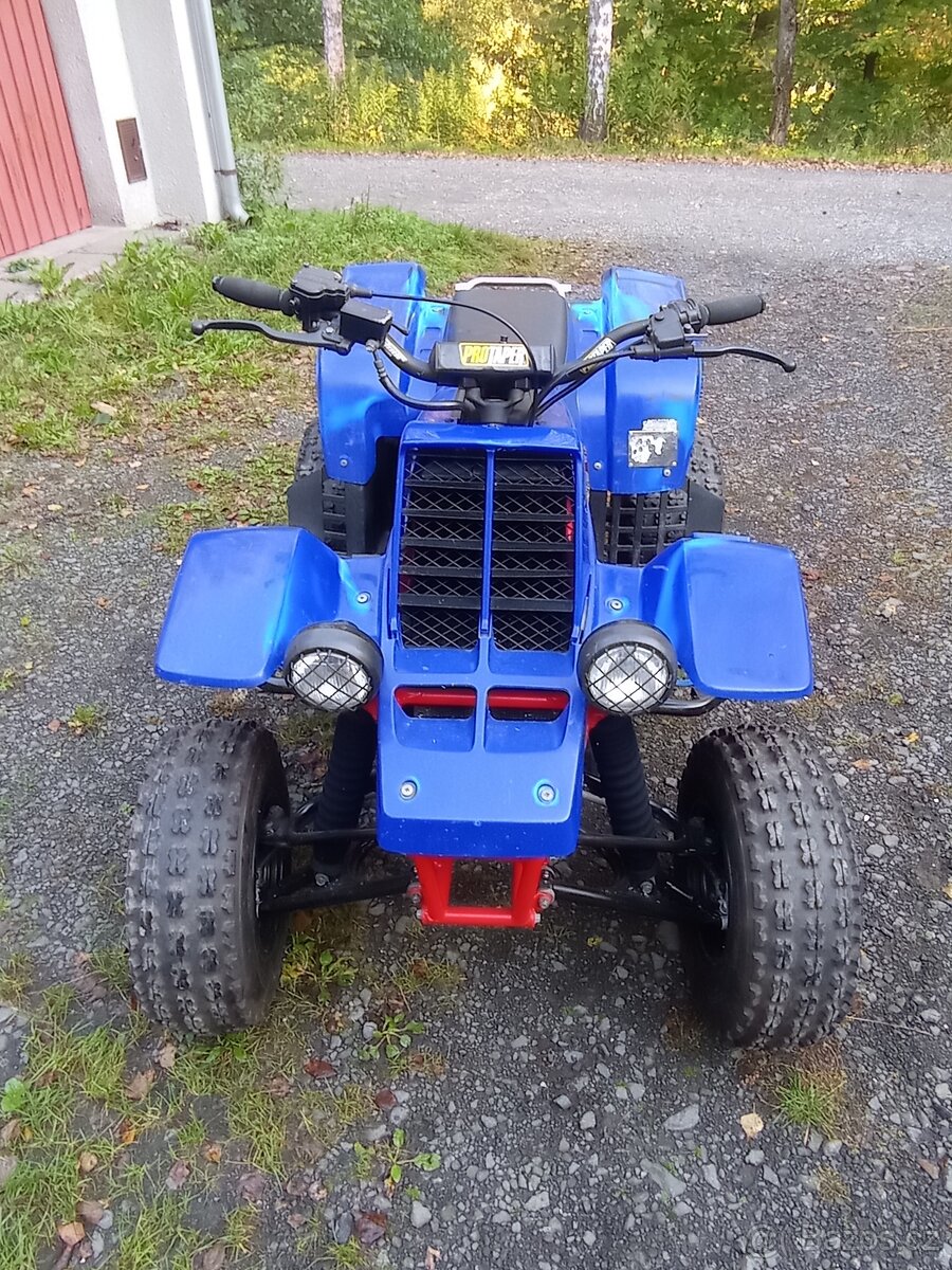 Yamaha Banshee 350