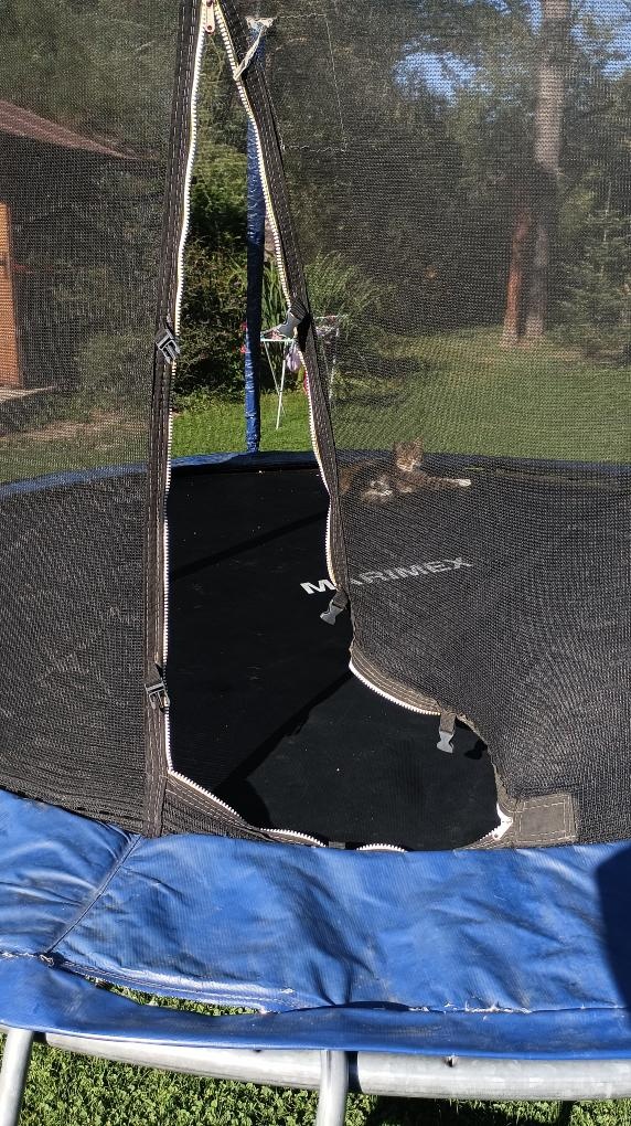 Trampolína 305cm Marimex - 3