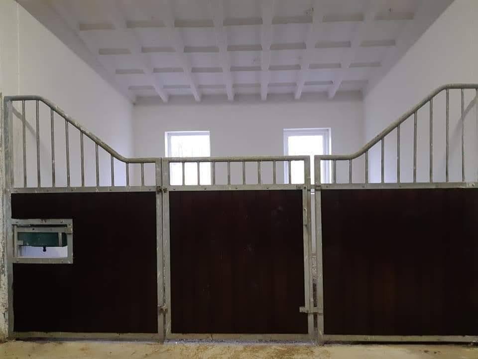 Obsedání a výcvik koní - 3