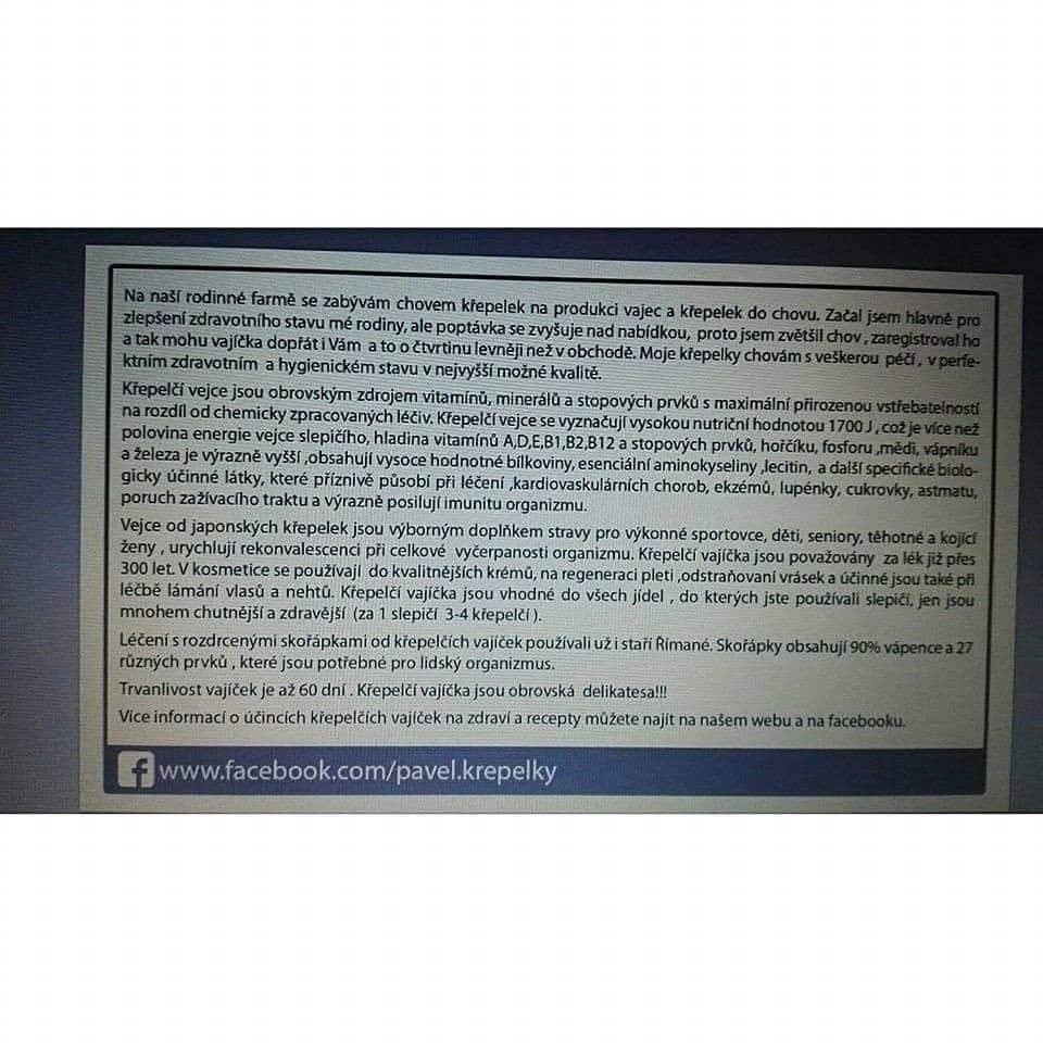 Krepelci vajíčka - 3