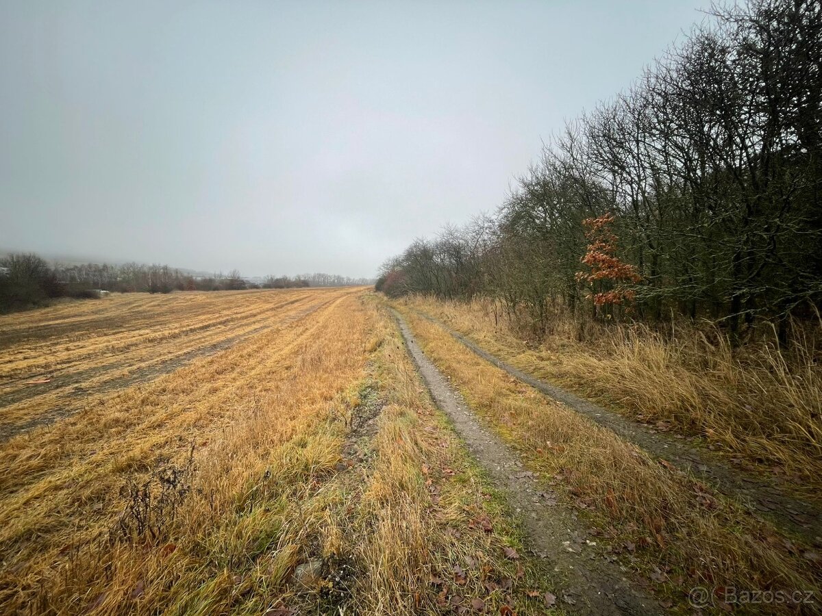 Prodám 2600 M2 v Cerhovicích - 3