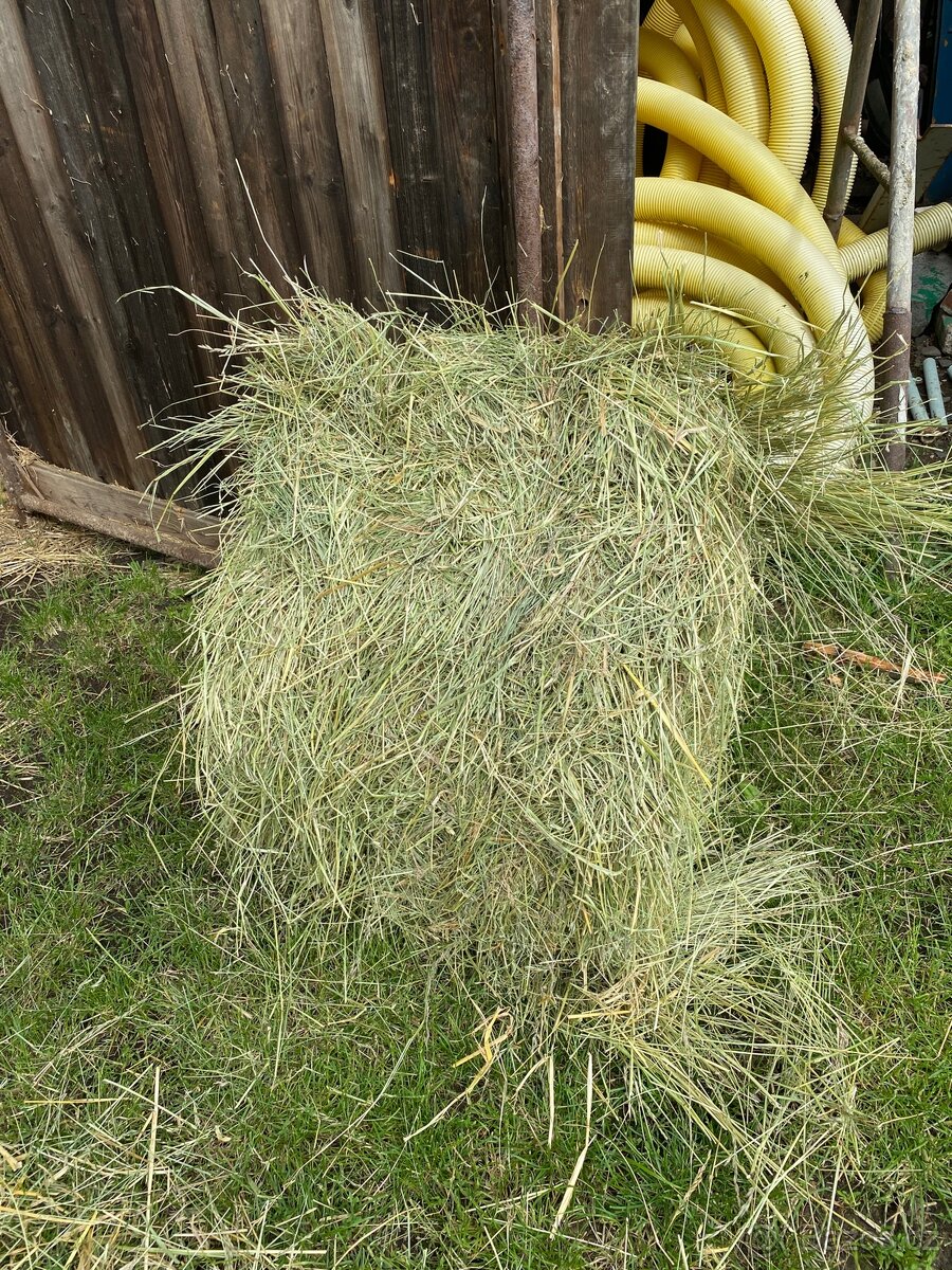 Seno malé hranaté balíky - 3