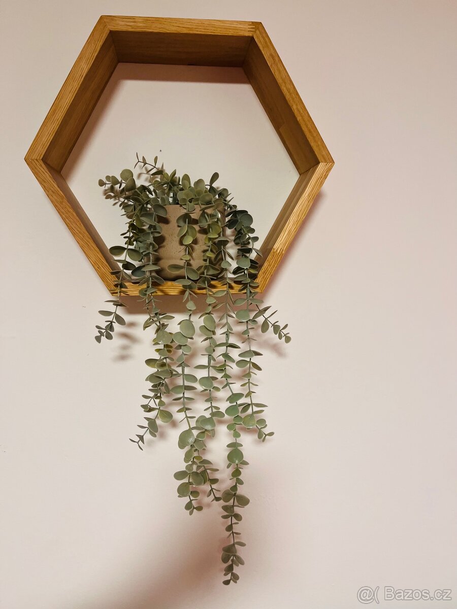 Dubová police včelí plástev - 3