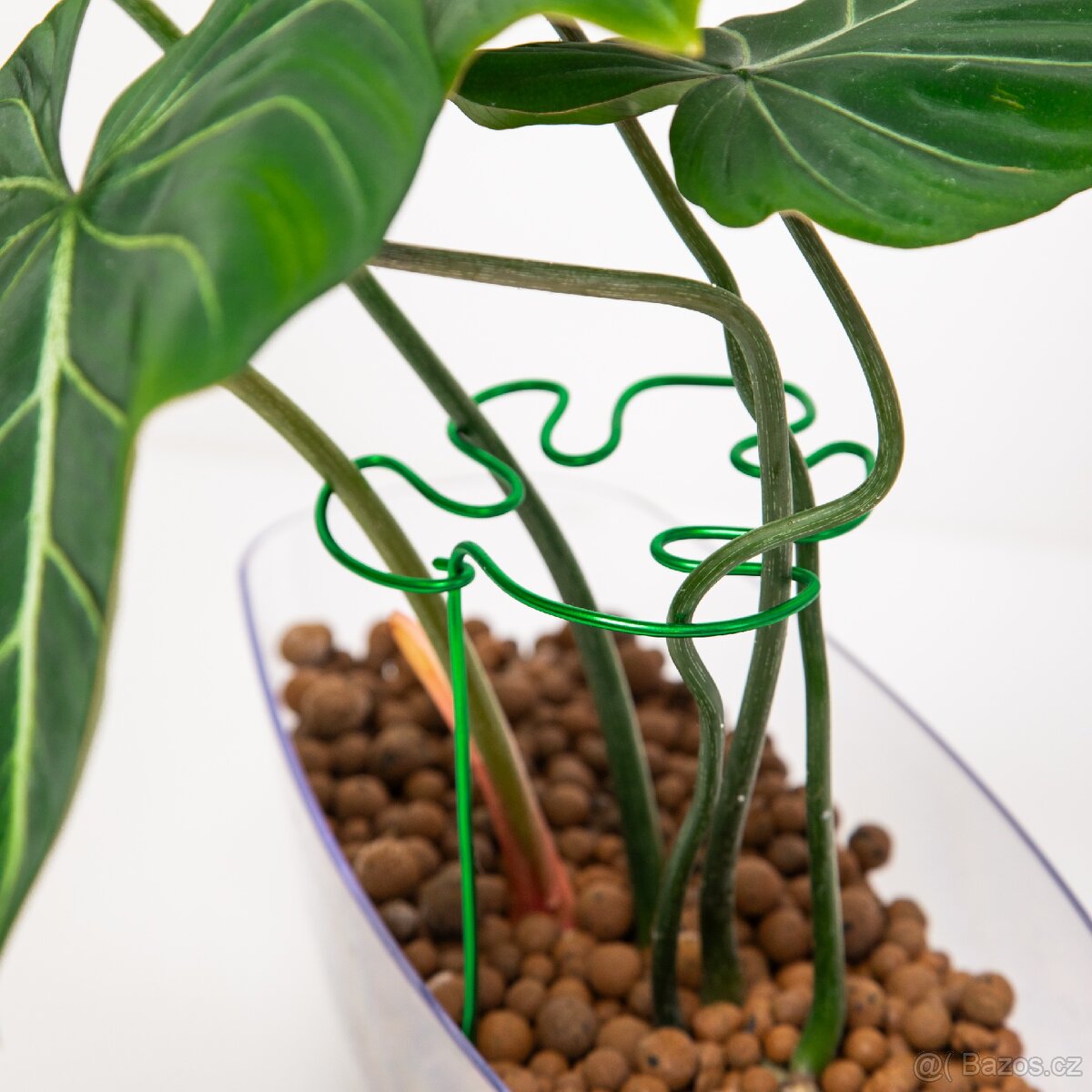 Opora pro rostliny, list monastery, zelená - 3
