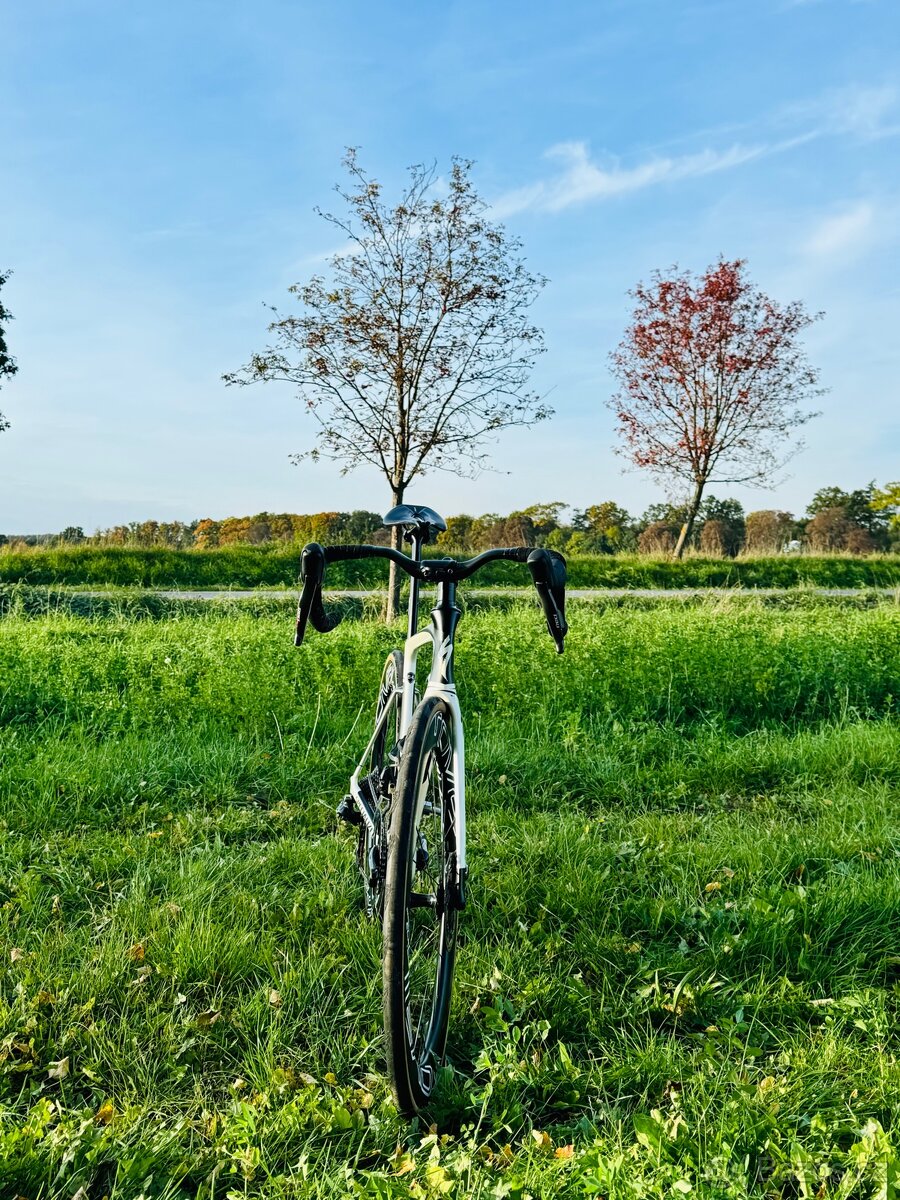 Specialized S-Works Venge Vias disc watt, ceramic, sram red - 3