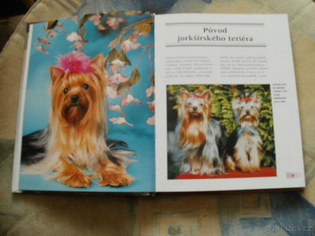 Kniha-jorkširský teriér. - 3