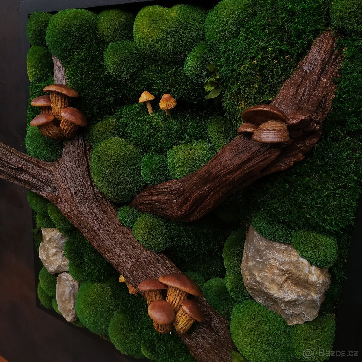 Mechový obraz / obraz ze stabilizovaného mechu - 3