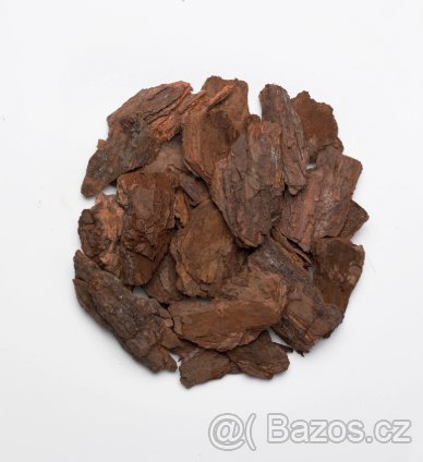 Piniová Kůra ( Pine Bark ) - 3