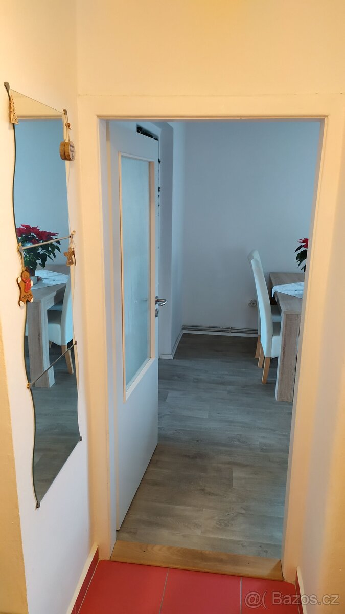 Pronájem bytu 2+1 - 3
