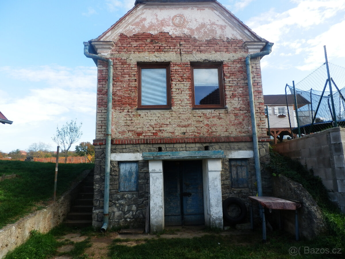 Predám vinohradnícky domček s pozemkom v Skalici na Slovensk - 3