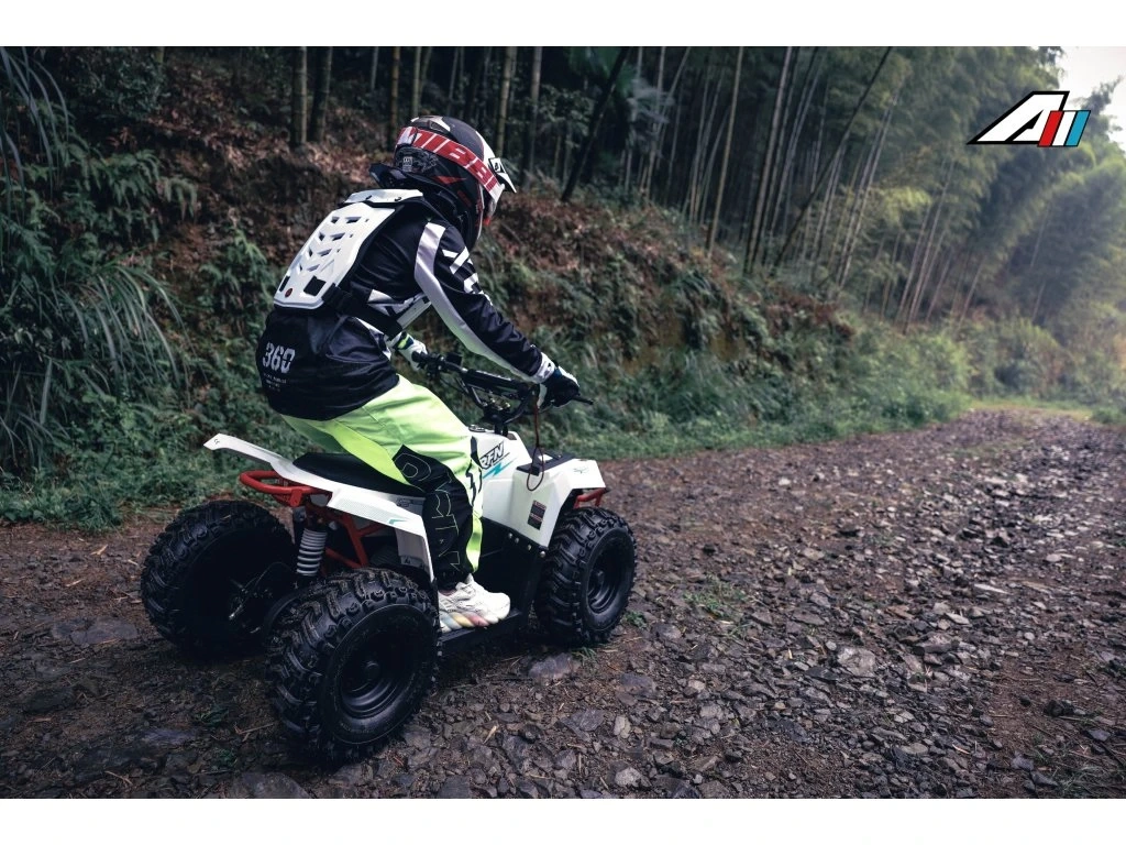 Dětská čtyřkolka 4 RIDER