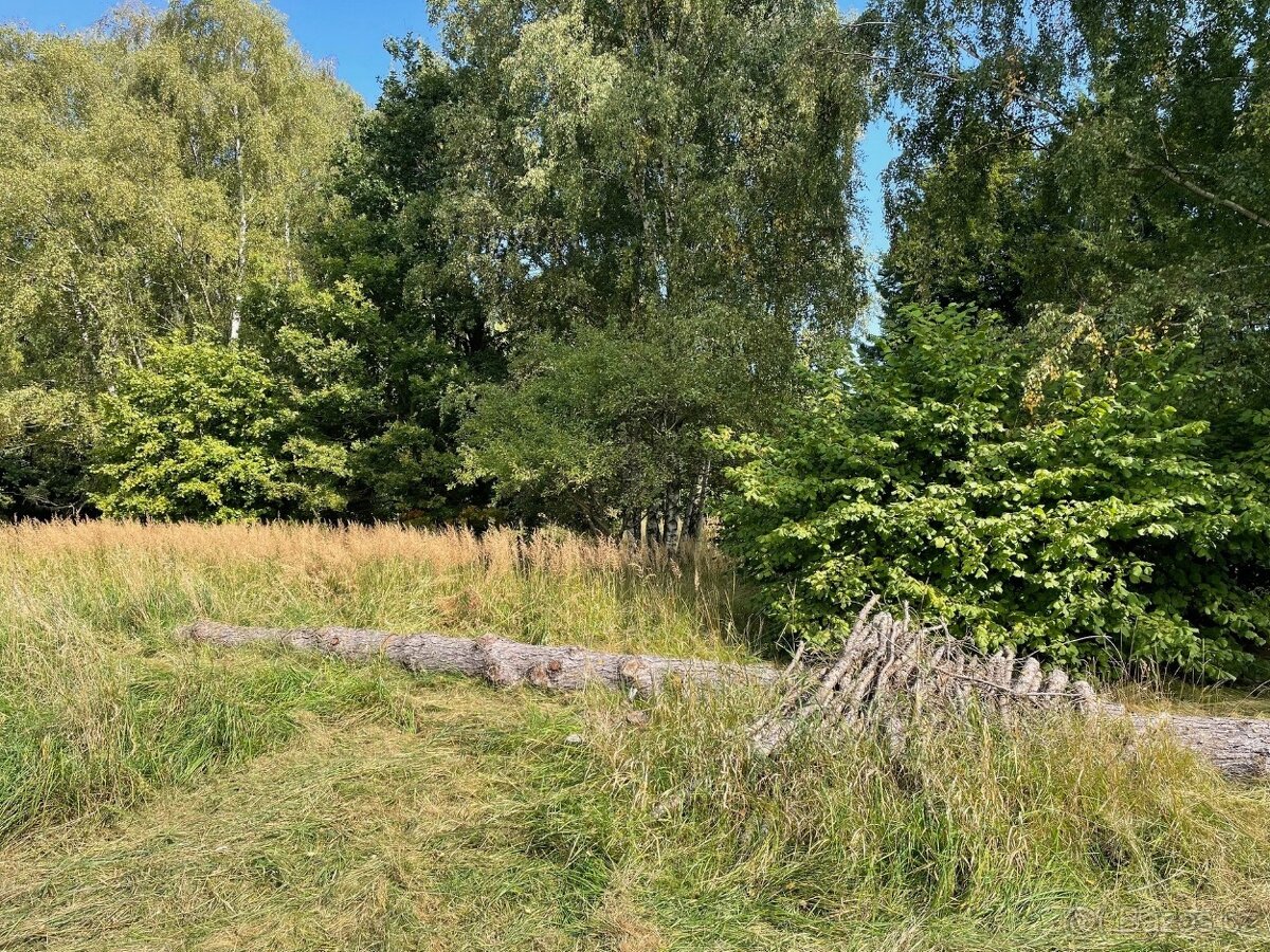 Prodej pozemky pro bydlení, 1000 m² - Dolní Podluží - Kateři - 3