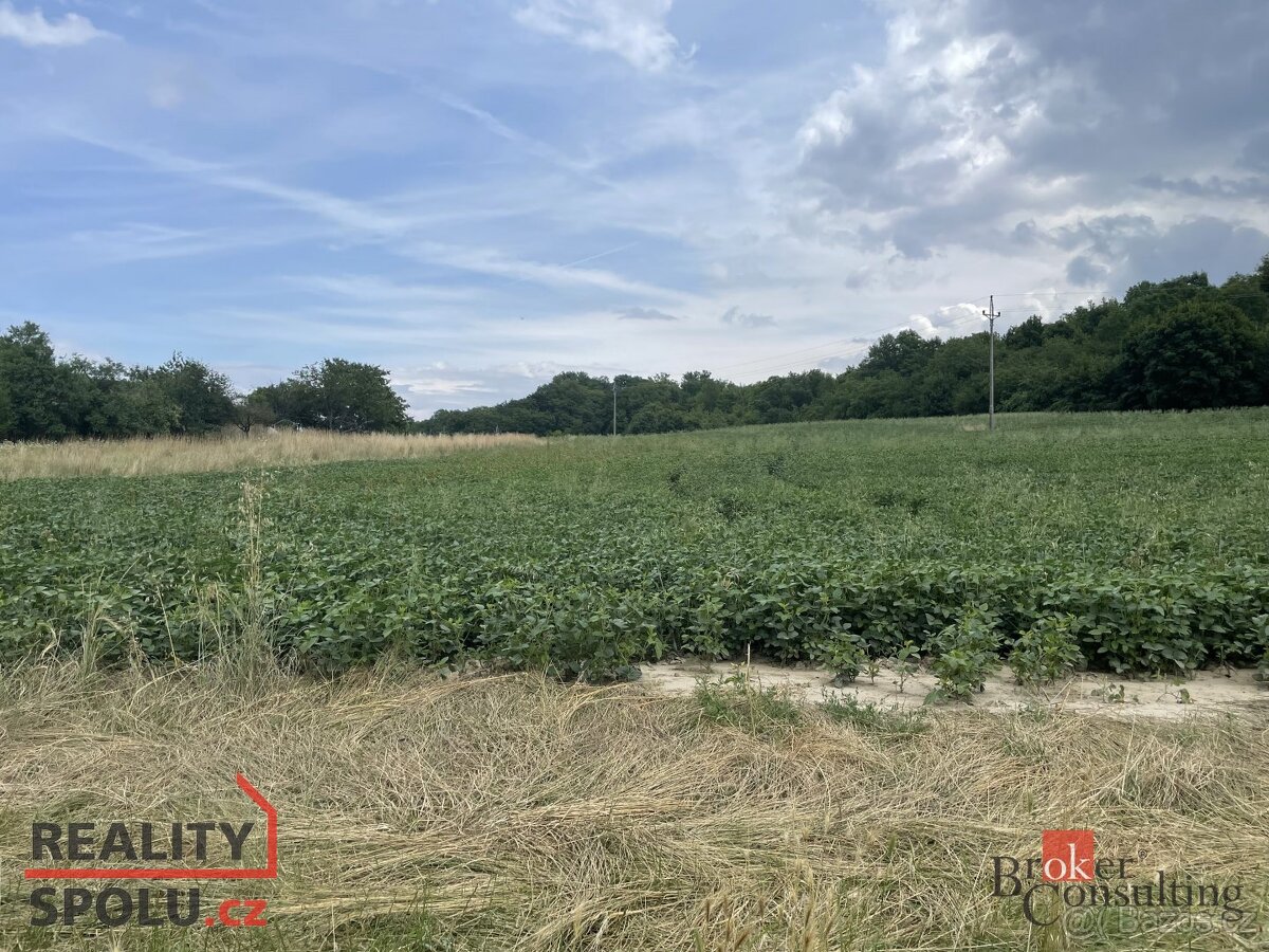 Prodej, pozemky/bydlení, 788 m2, Hustopeče, Břeclav [ID 7392 - 3