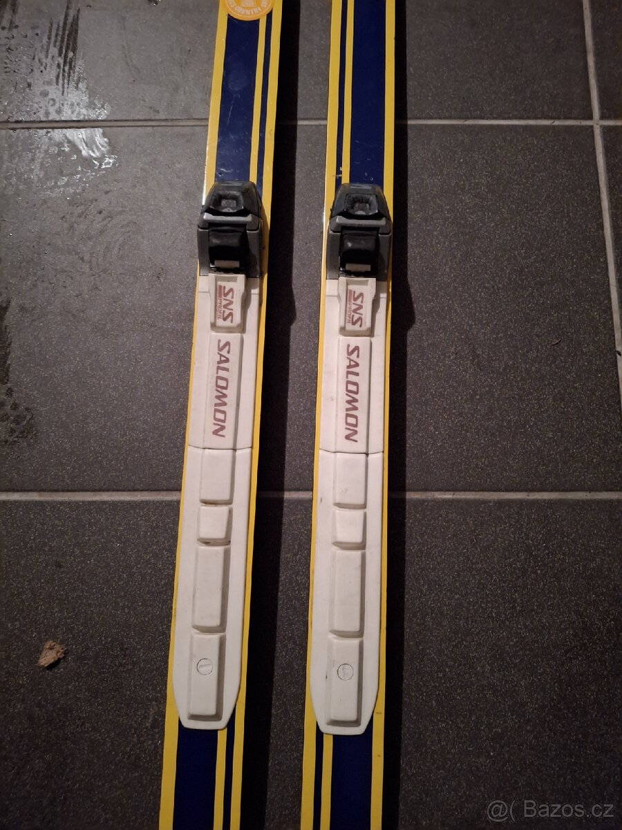 Bezky Alpin, vazani Salomon, delka cca 196cm - 3