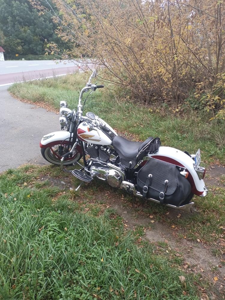Prodám Harley Davidson Springer - 3