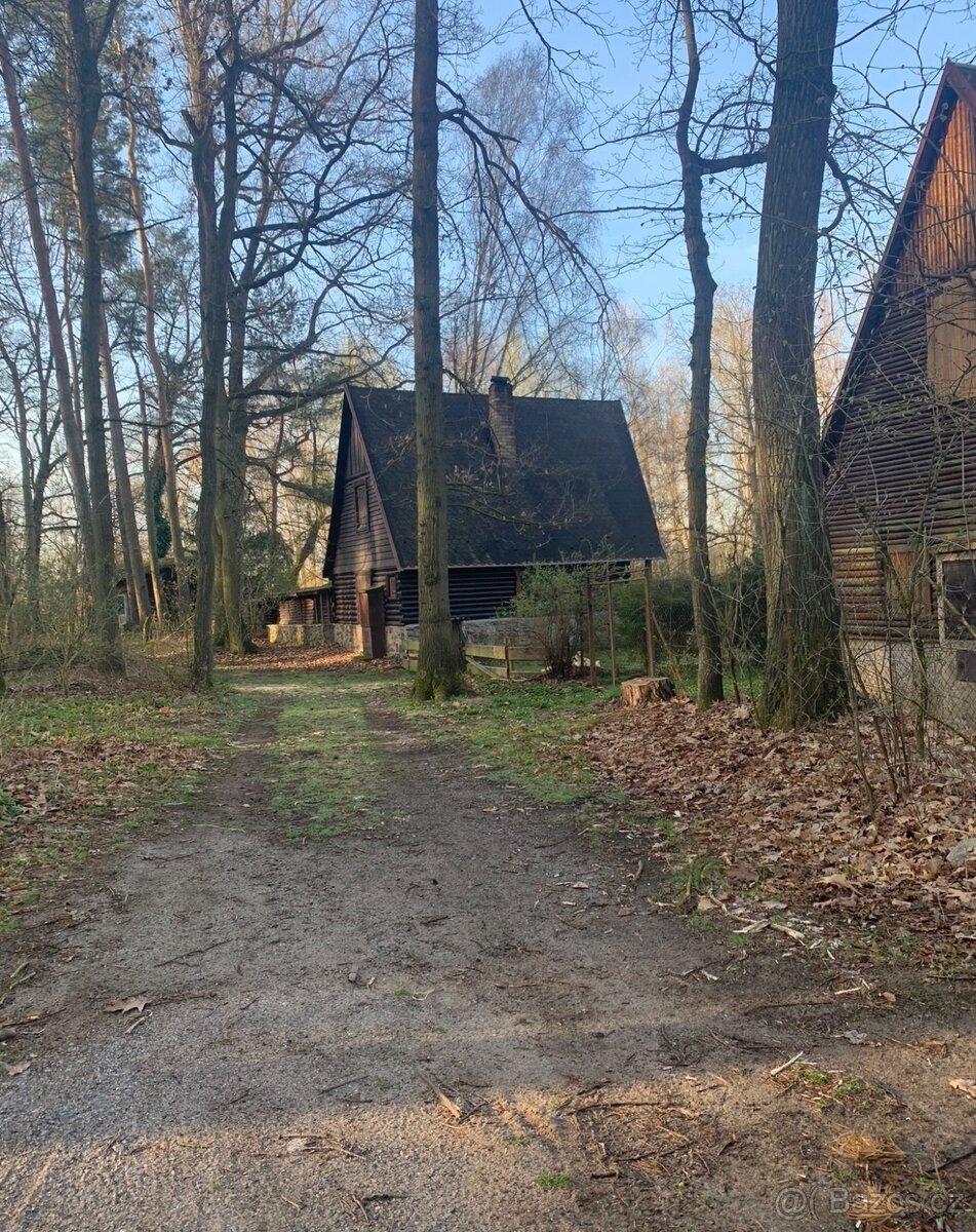 Chata u řeky Lužnice - 3