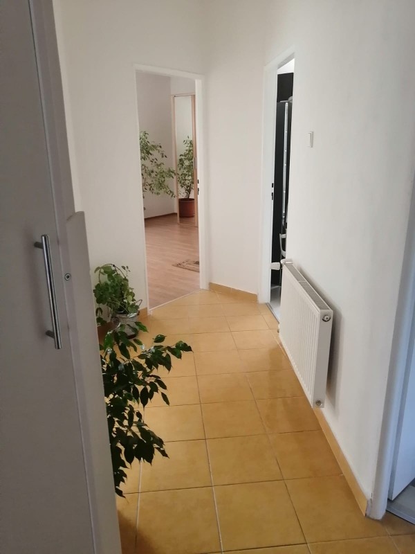 Nabízím podnájem pro studenty - 3