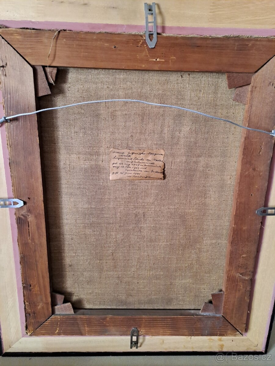 Obraz šlechtice. - 3