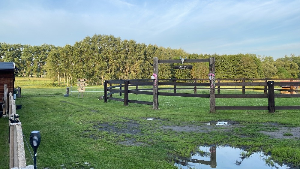 Pastevní ustájení 🌿🐴 - 3