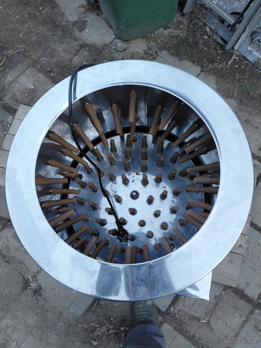 Bubnova škubacka - 3