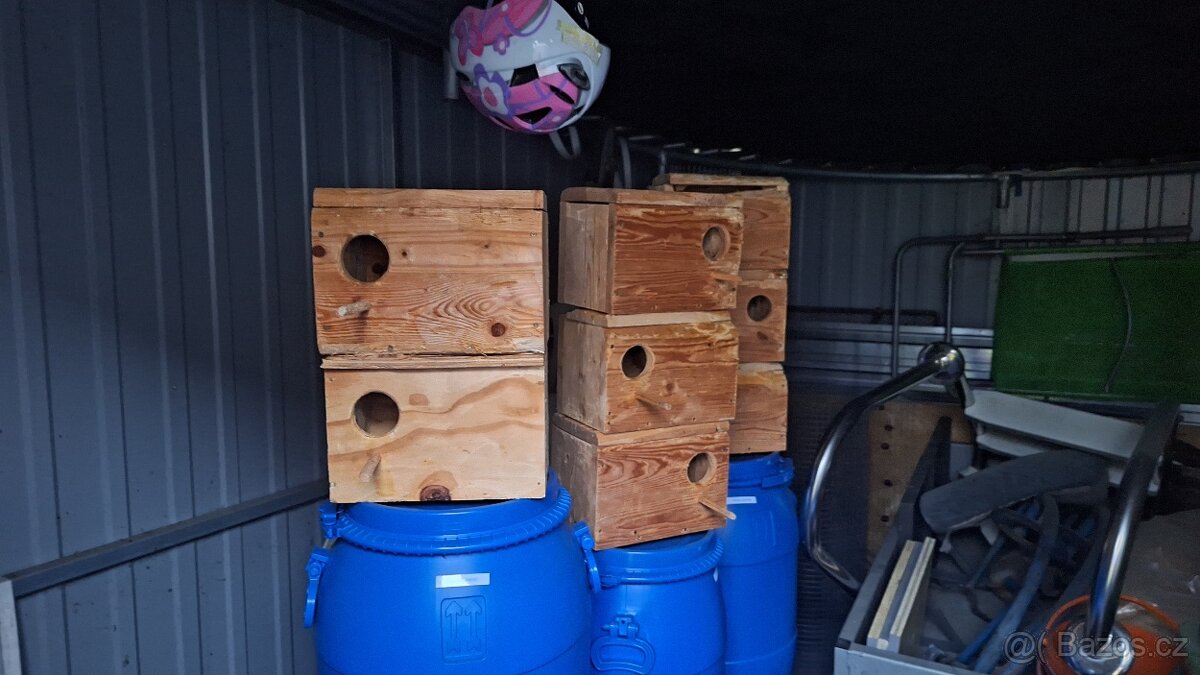 Chovné hejno agapornis Fišerův - 3