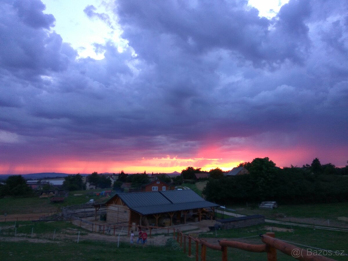 ustájení koní 24/7 - 3