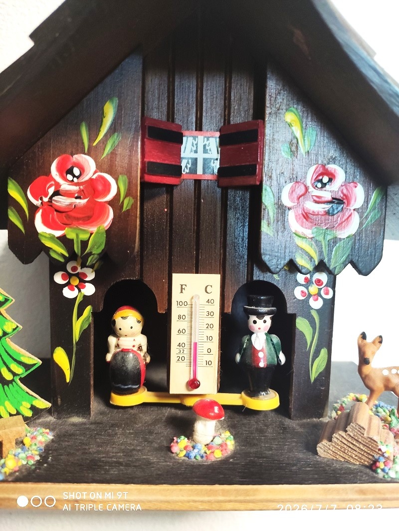 Schwarzwald, kukacky, meteodomecek - 3