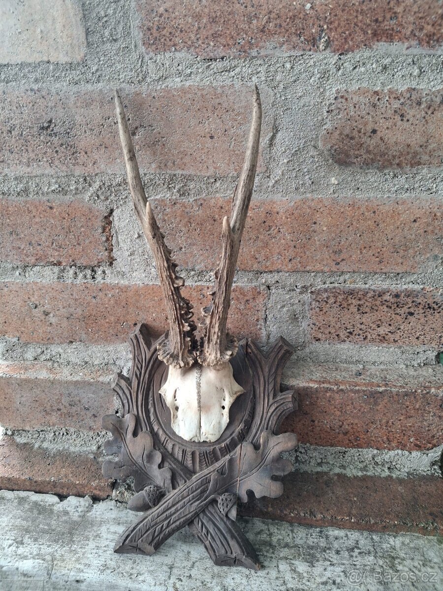 Paroží - 3