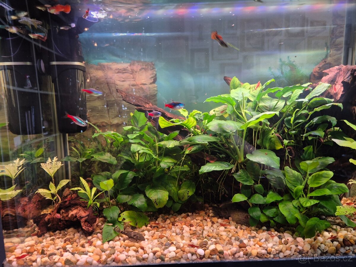 Akvárium 58l - 3