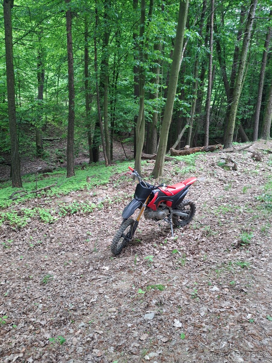 Pitbike wpb 140