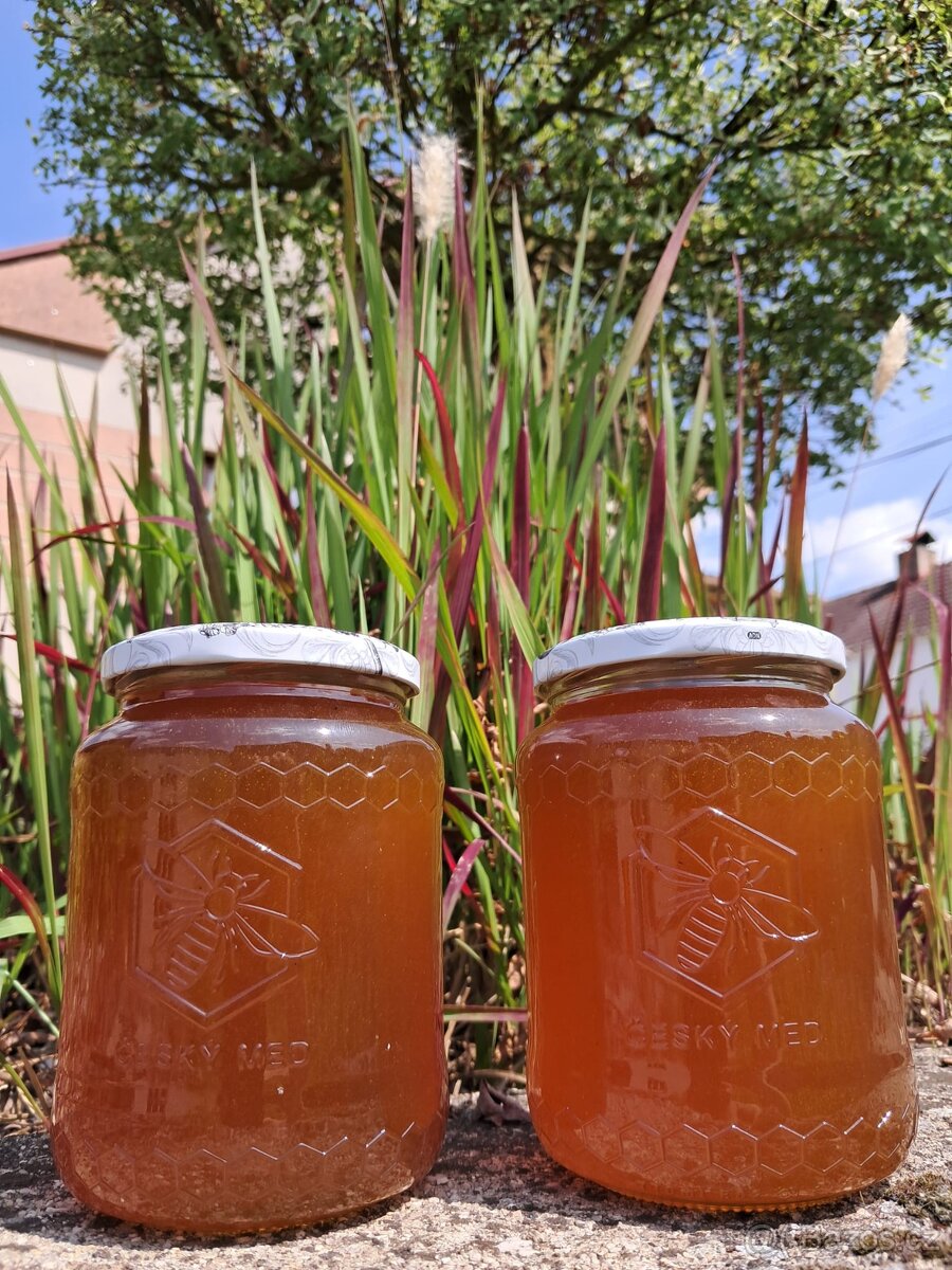 Včelí med - květový i lesní - 3