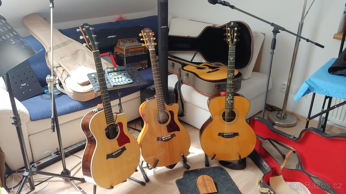 kytary akustické Taylor, Furch, Guild - 3