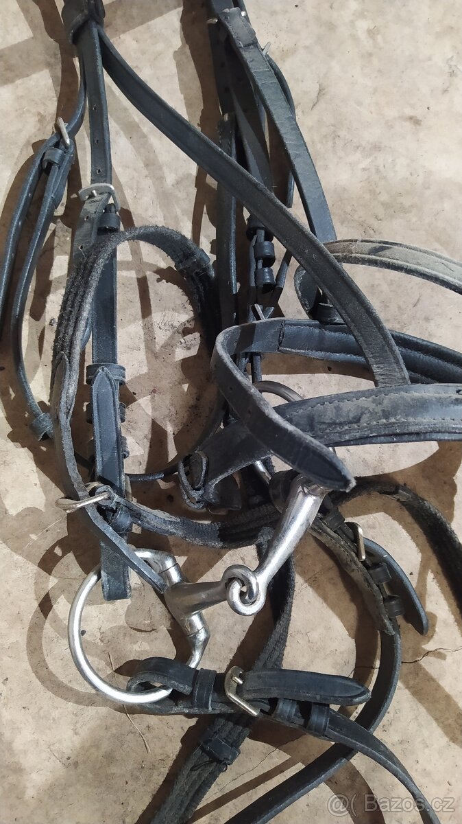 Uzdečky pony, uzdečky shetty a provazová ohlávka pony - 3