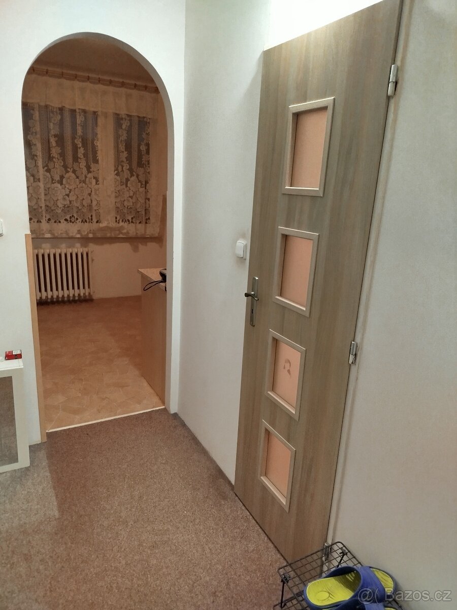 Podnájem bytu 1+1 - 3