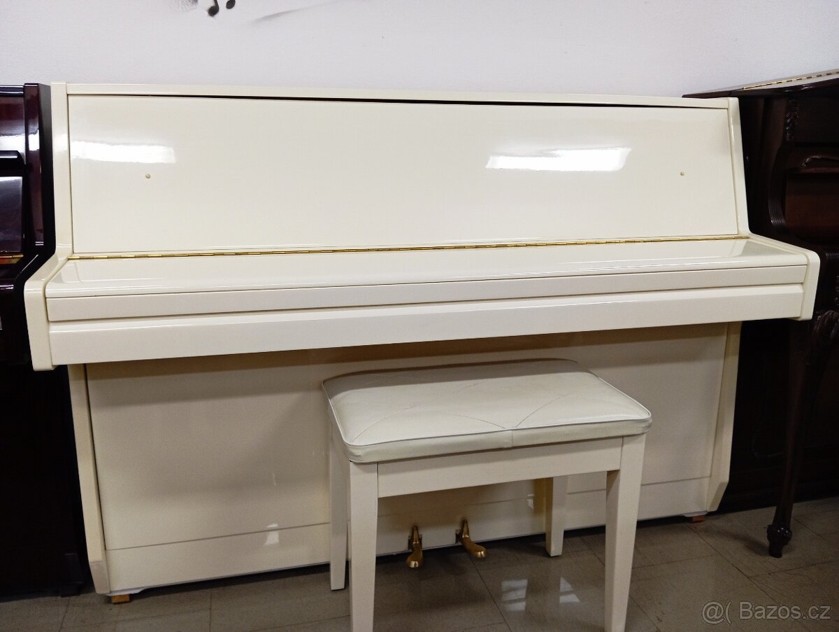 Aspheim (Hyundai)/lesk/-Dovoz i na Štědrý den 24.12. - 3