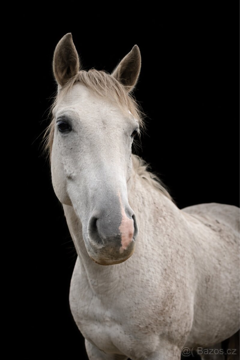 Částečný / plný pronájem - 3