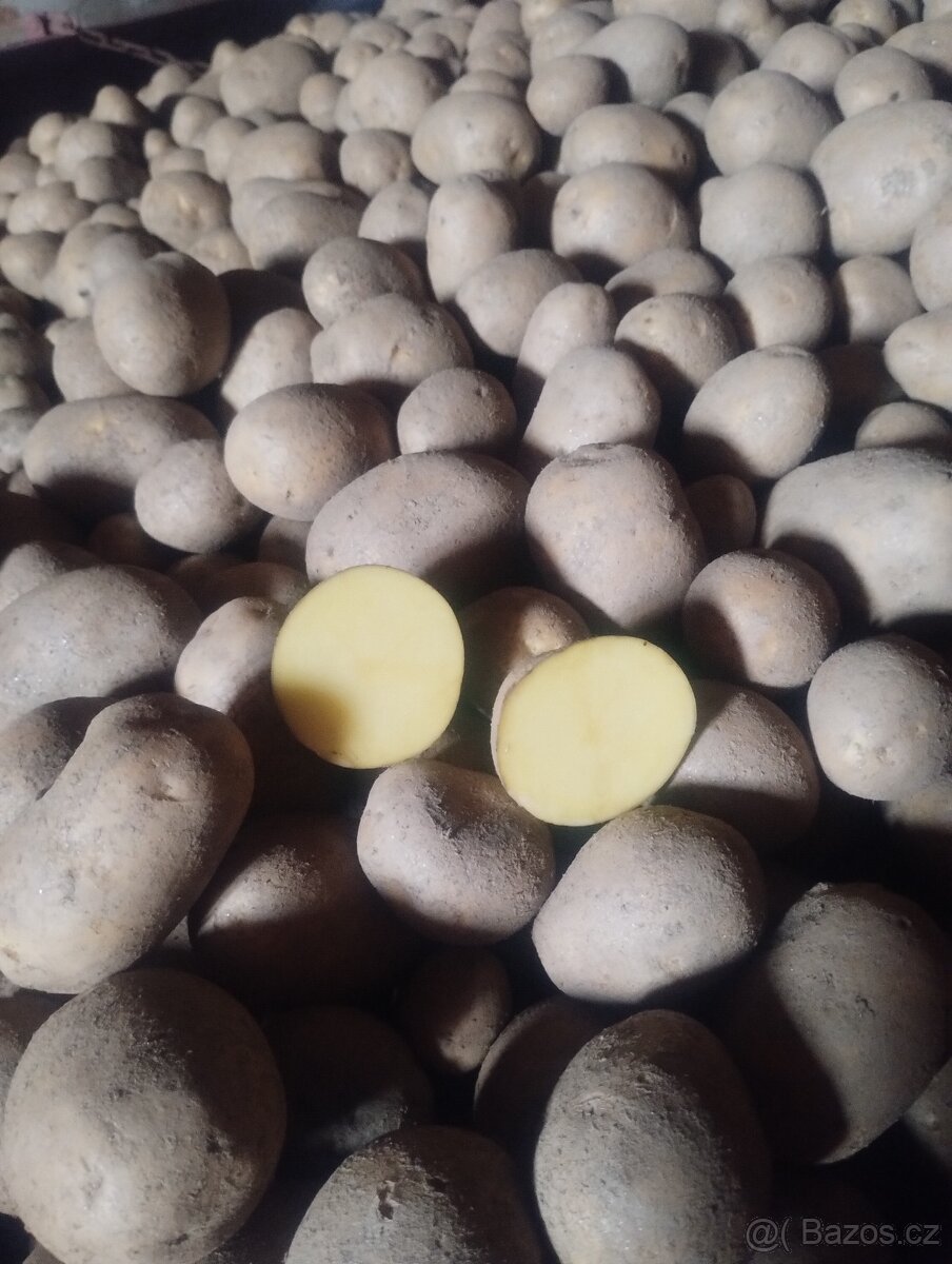 BIO brambory z farmy s certifikátem - 3