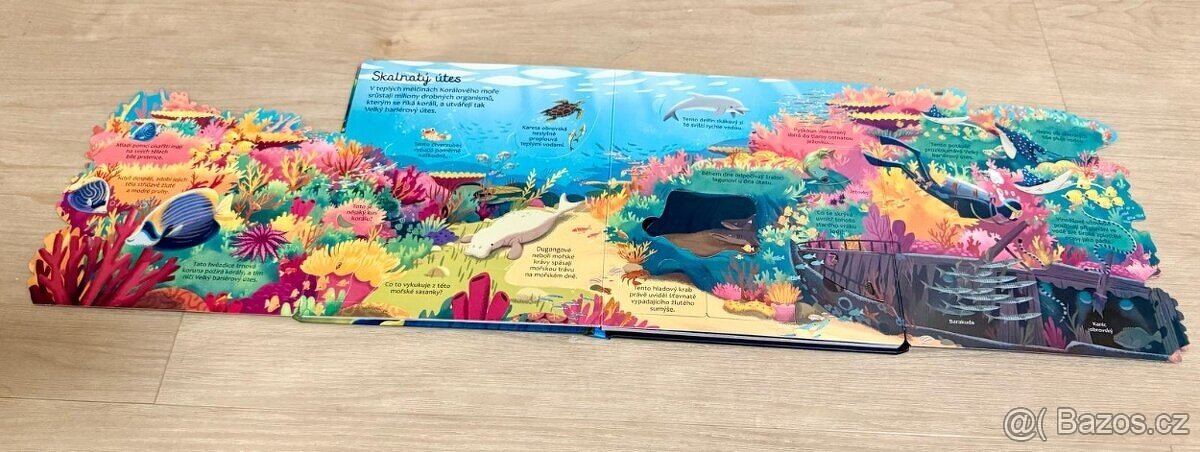 Moře a Oceány Svojtka - 3