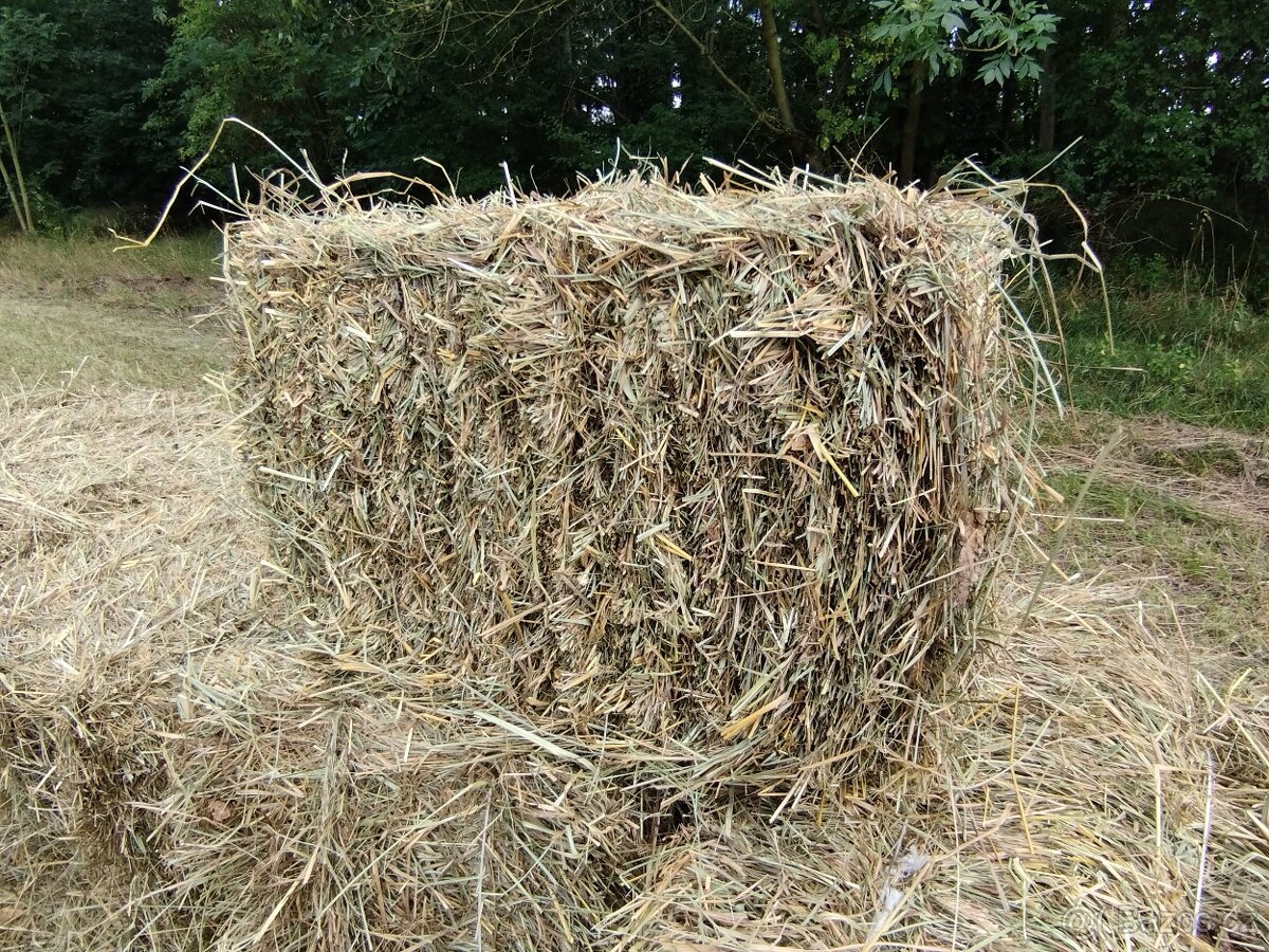 Prodám malé hranaté balíky lučního sena - 3