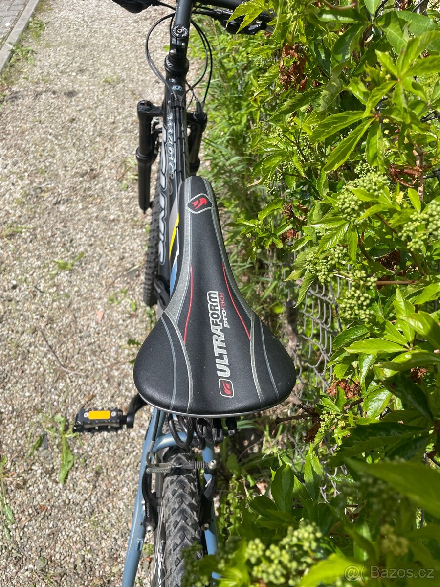 Kolo Kelly’s Magic - 3