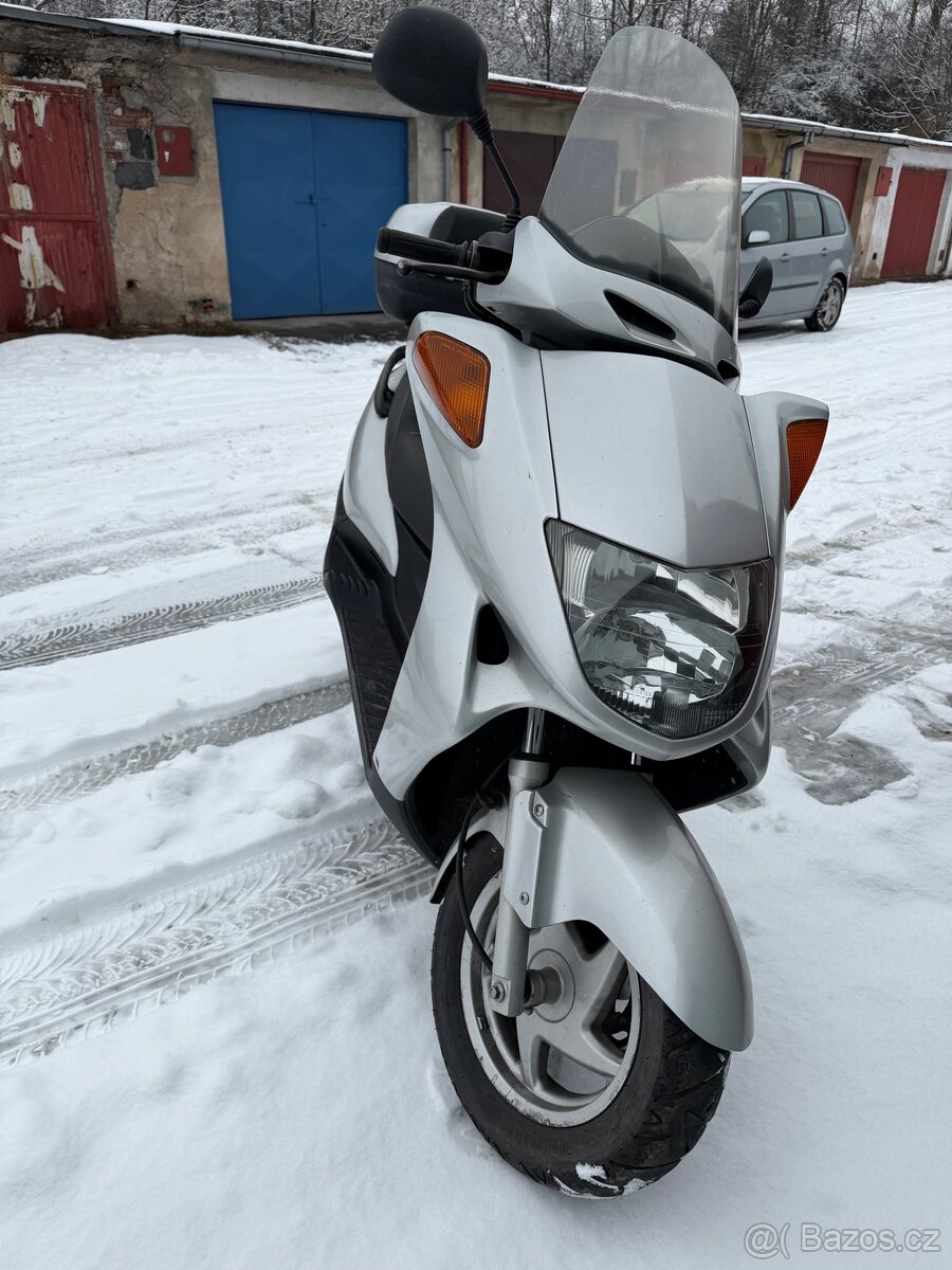 Honda Foresight250 - 3